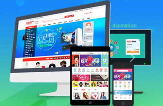 電商網(wǎng)站建設(shè)方案